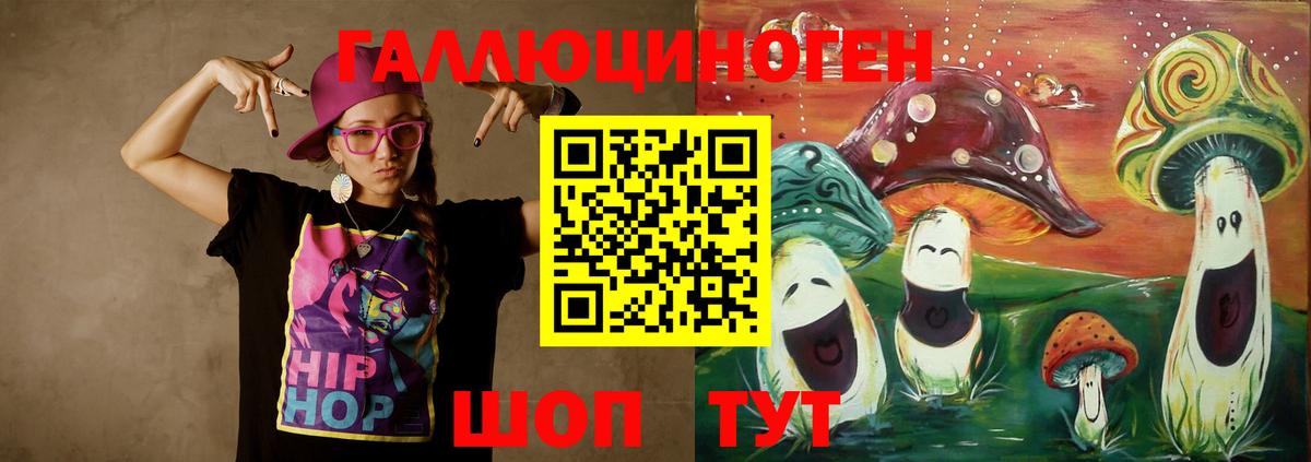 Сосновый Бор  Псилоцибиновые грибы Cubensis  Вход с VPN 